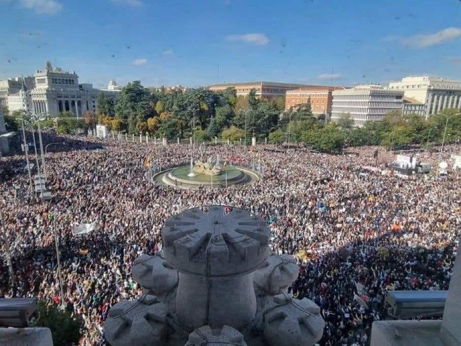 España.  En Madrid una gran manifestación por la salud